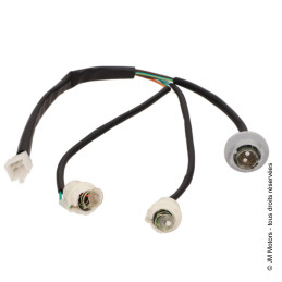 Faisceau Optique Arrière | Milano / SC