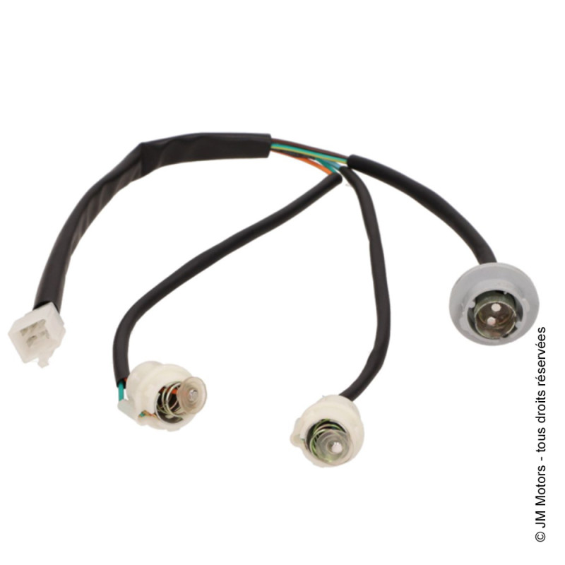 Faisceau Optique Arrière | Milano / SC