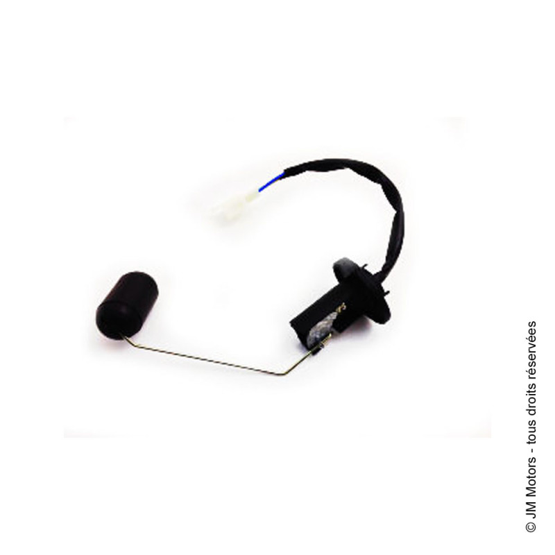 Jauge Carburant | Delivery