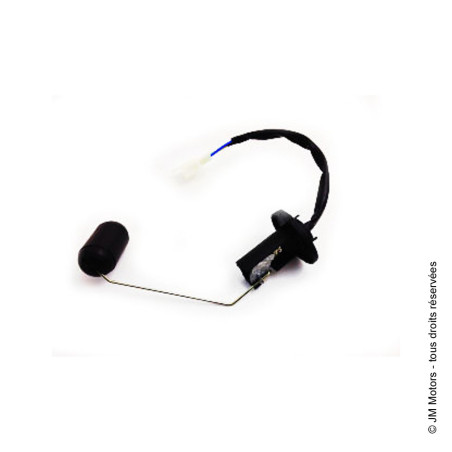 Jauge Carburant | Delivery