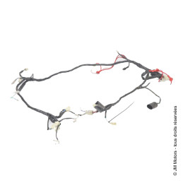 Faisceau Electrique Complet | Delivery