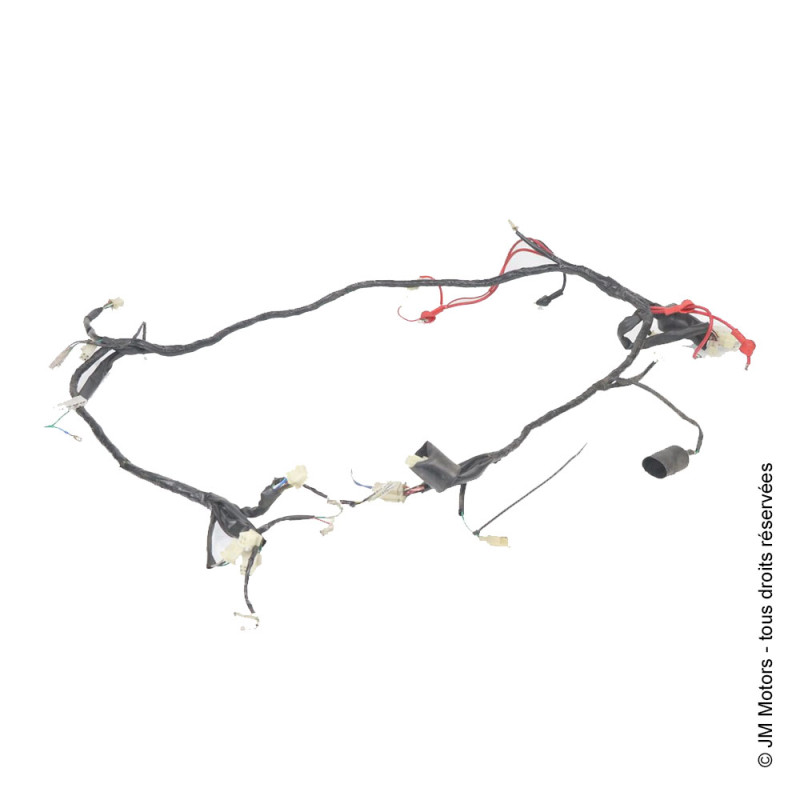 Faisceau Electrique Complet | Delivery