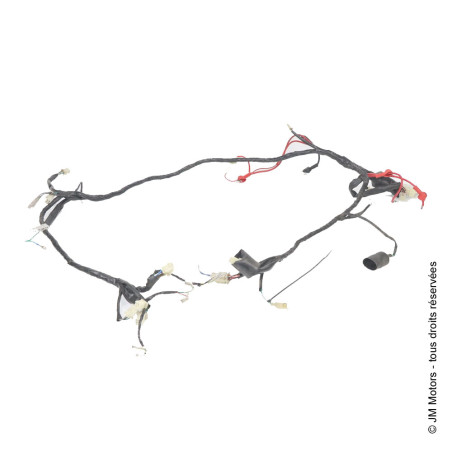 Faisceau Electrique Complet | Delivery