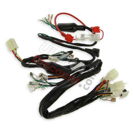 Faisceau Electrique Complet | PBR