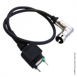 Bobine HT | Bubbly / PBR