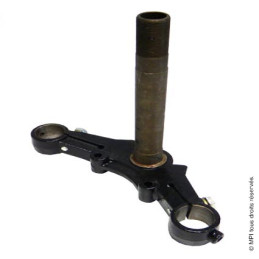 Té Fourche Inf. | Bubbly