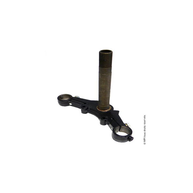 Té Fourche Inf. | Bubbly