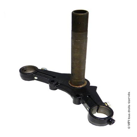 Té Fourche Inf. | Bubbly