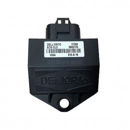 Boîtier Gestion Moteur...