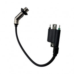 Bobine HT | Oldies | JM Motors