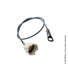 Sonde Température Moteur (Euro4) | Evolis / Milano / Oldies / Oldies GT(S) / Ritmo