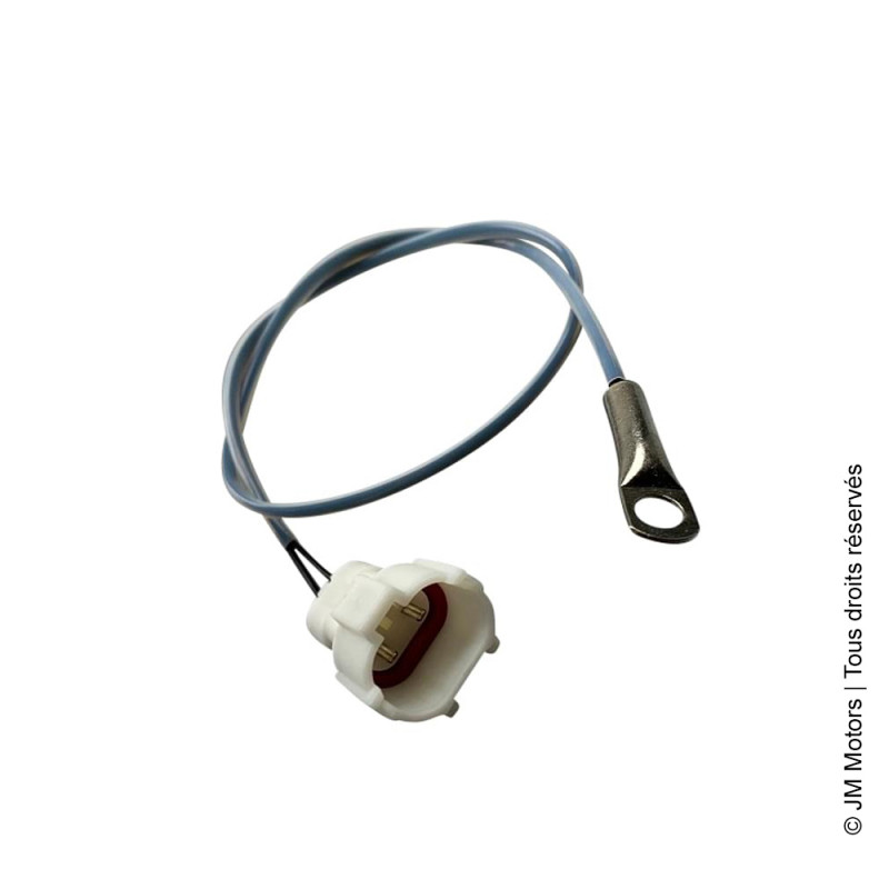 Sonde Température Moteur (Euro4) | Evolis / Milano / Oldies / Oldies GT(S) / Ritmo