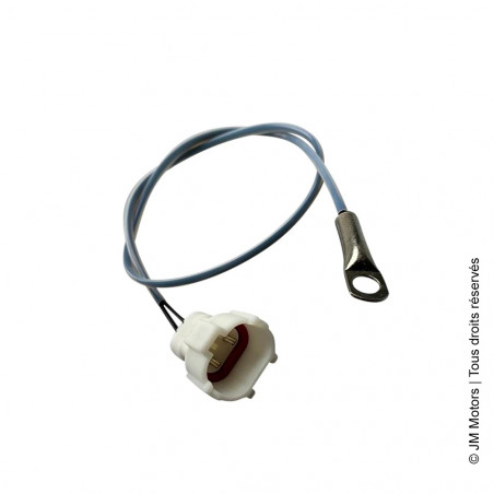 Sonde Température Moteur (Euro4) | Evolis / Milano / Oldies / Oldies GT(S) / Ritmo