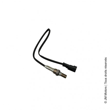 Sonde Lambda | Oldies | JM Motors