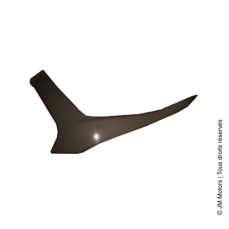 Couvercle Latéral Gauche | F45i