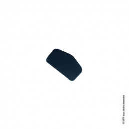 Entourage Guidon Central | F45i