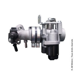 Corps de Papillon | F45i