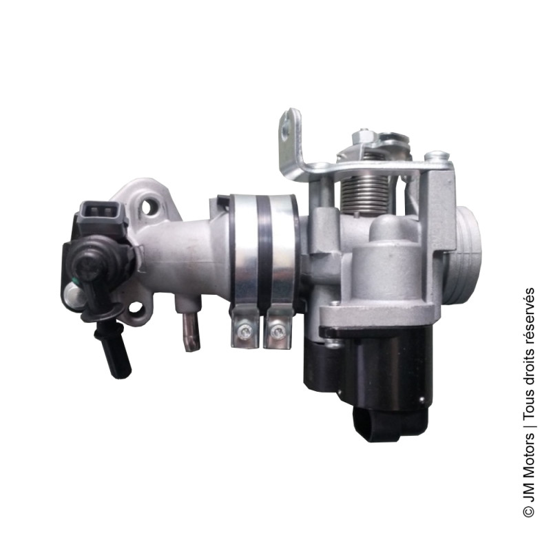 Corps de Papillon | F45i