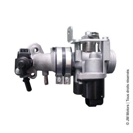 Corps de Papillon | F45i