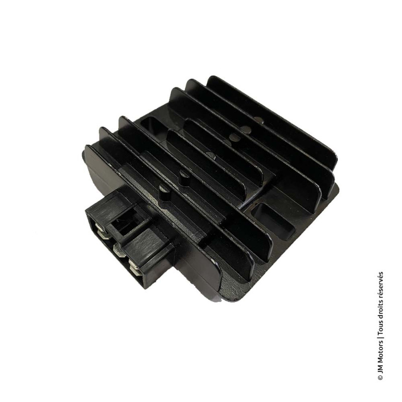 Régulateur Tension | F45i