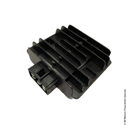 Régulateur Tension | F45i