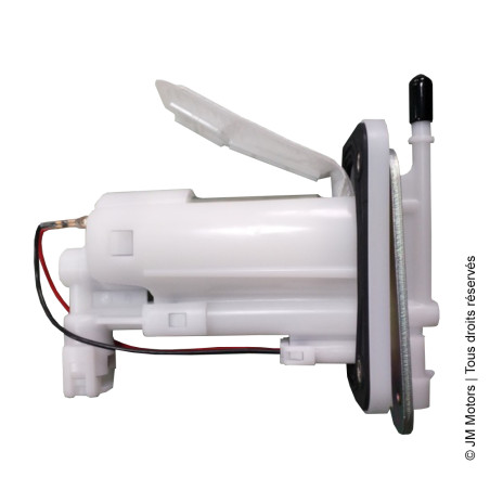 Pompe à Essence | F45i