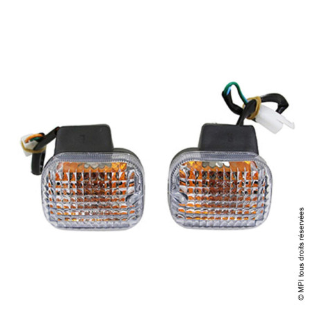 Clignotants Arrière (Gauche & Droit) | Viper