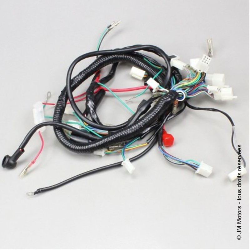 Faisceau Electrique Complet | Roadster / Sportive