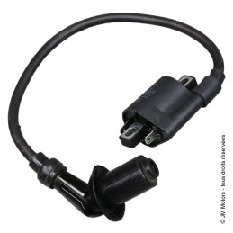 Bobine HT | Roadster / Sportive