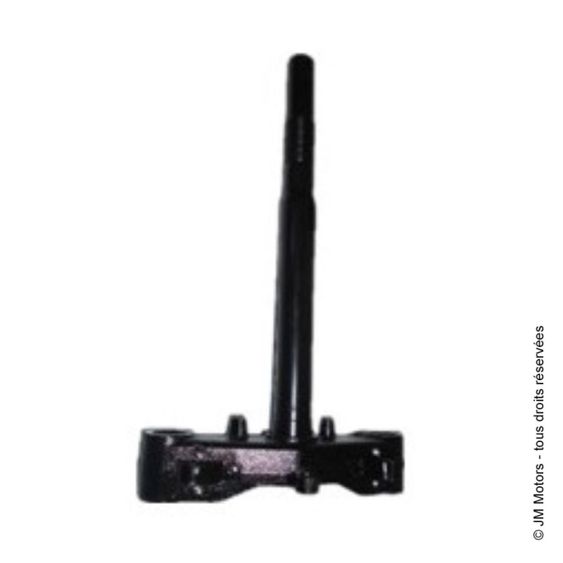 Té Fourche | Santana