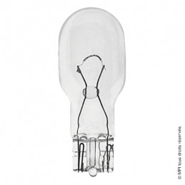 Ampoule 12V / 5W (T10)