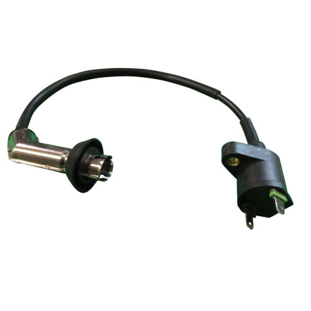 Bobine HT | Delivery / Milano / Oldies GT(S) / SC