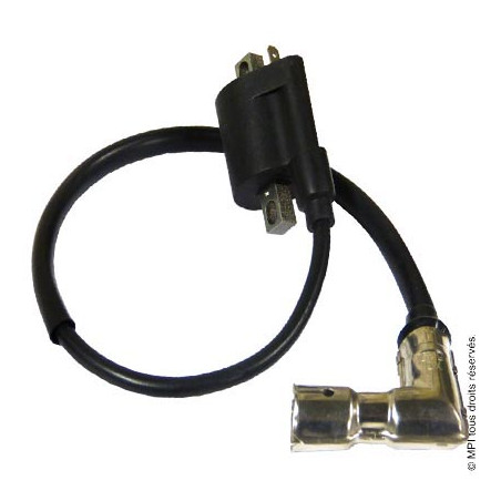 Bobine HT Euro4 | Oldies GT(S) / Ritmo