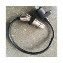 Bobine HT | Oldies GT-Line