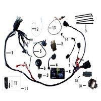 Evolis | Fig.2 - Partie électrique | JM Motors